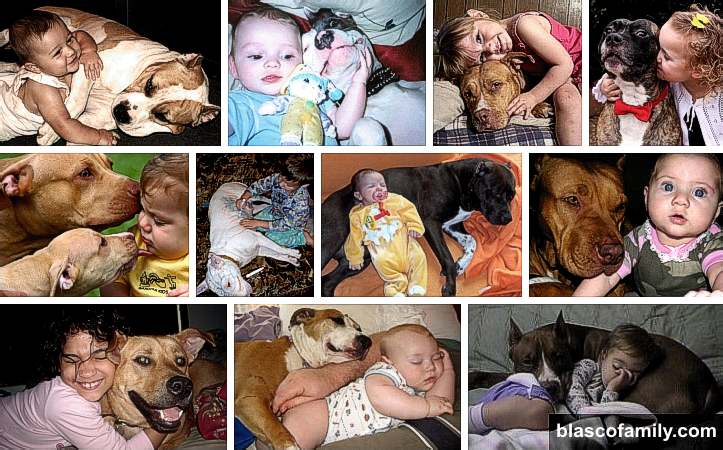 Children and their Pitbulls...