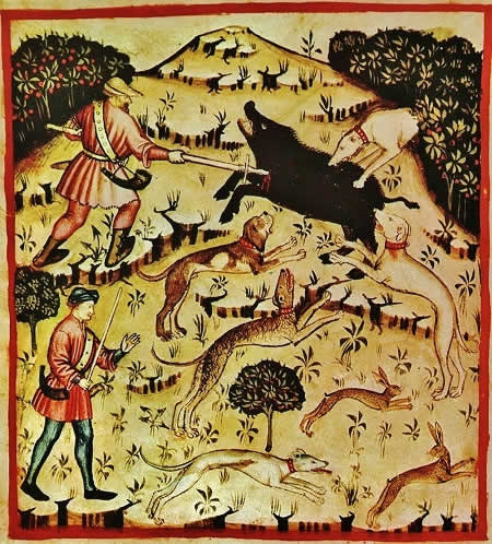 Early European white hunting dogs